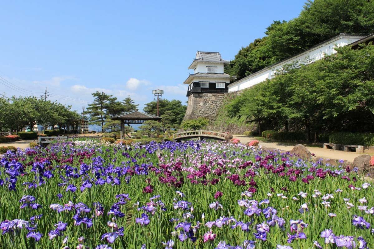 🌸 오무라 공원 이미지 6